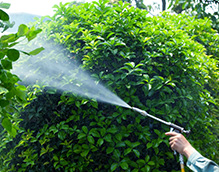 住まいトラブル解決センター 電気のトラブル 屋根・外装のトラブル 蜂の巣の駆除 害虫の駆除 水まわりのトラブル