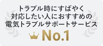 緊急時におすすめの住まいの緊急駆け付けサービス No.1