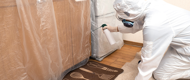 害虫のトラブル