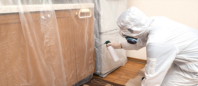 害虫のトラブル