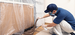 害虫のトラブル